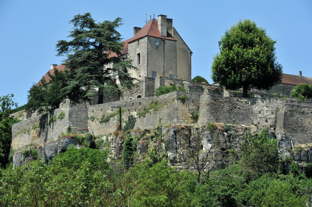 Frôlois - Le château
