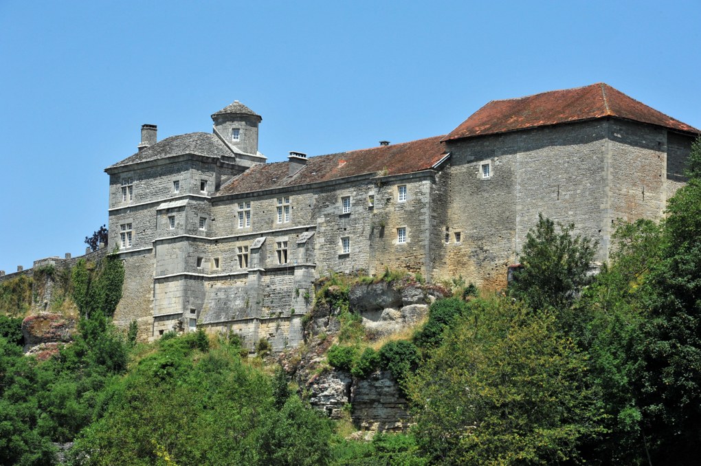 Salmaise - Le château (XIIIe-XIVe siècle)