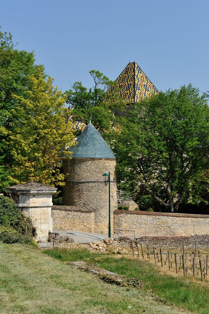 Santenay - Le château (XIIe-XIVe siècle)