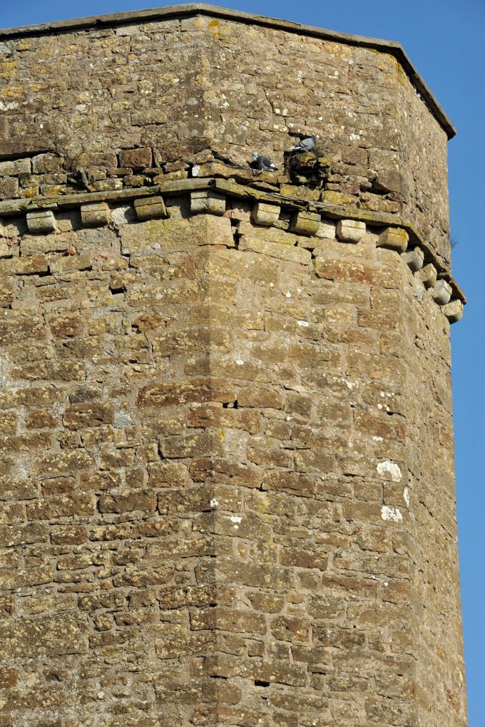 Thizy - Le château (XIIIe-XVIe siècle) : tourelle polygonal desservant les étages du donjon carré (XIVe siècle)