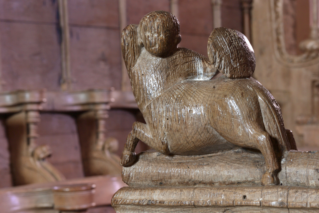 Bard-le-Régulier - Eglise Saint-Jean-l'Evangéliste - décor des stalles (XIVe s.) : centaure
