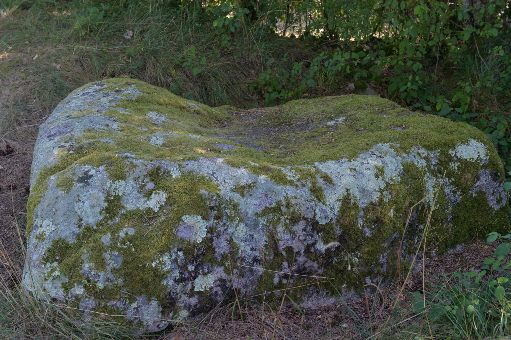 Saint-Père-sous-Vézelay - Fontaines-Salées : le "poron", mégalithe celtique en granit