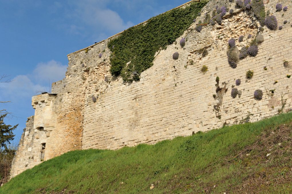 Vézelay - Rempart du XIVe siècle