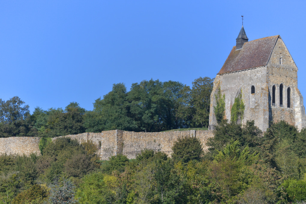 Saint-Julien-du-Sault - Ancienne chapelle castrale Saint-Julien de Vauguillain (fin du XIIe s.)
